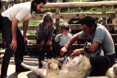 6 - Paul McCartney Mull of Kintyre