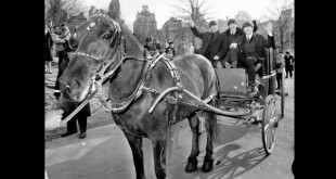 08 February - Today in Beatles History