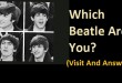 Which Beatle Are You ?