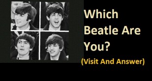 Which Beatle Are You ?