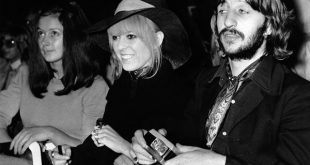 ringo-isle