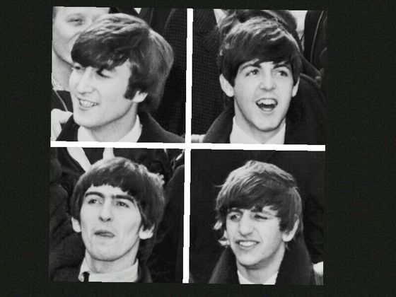 which beatle -3