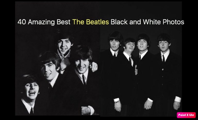 40 Amazing Best The Beatles Black and White Photos