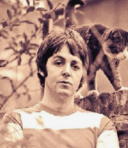 Paul McCartney and cat