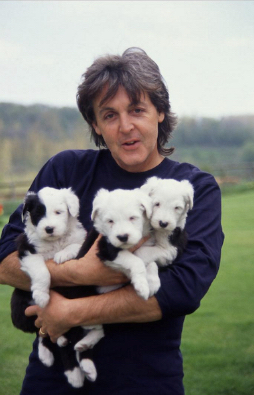 Paul McCartney and mini Marthas