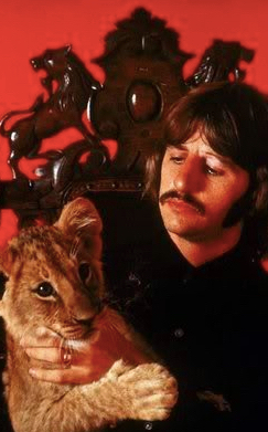 Ringo starr and the lion