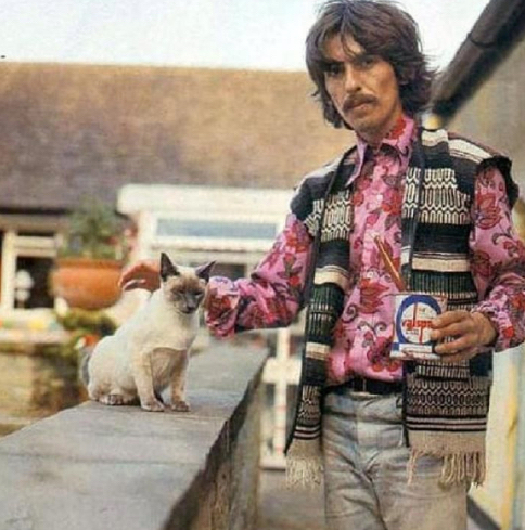 george harrison with a cat