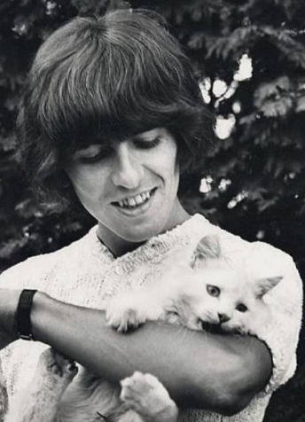 george harrison with cat