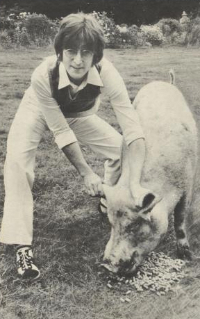 john lennon and pig