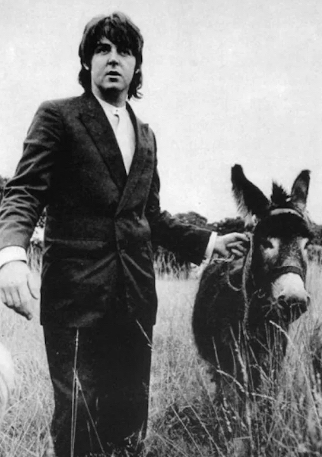 paul mccartney and donkey