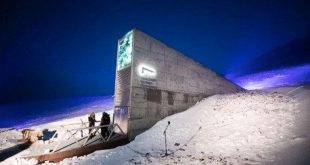 The Beatles work will be stored in the doomsday safe