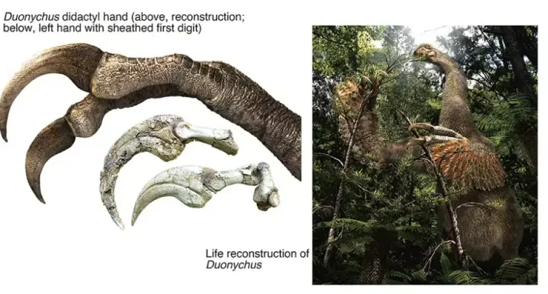 Meet Duonychus: The Two-Fingered Dinosaur With Massive “Freddy Krueger” Claws