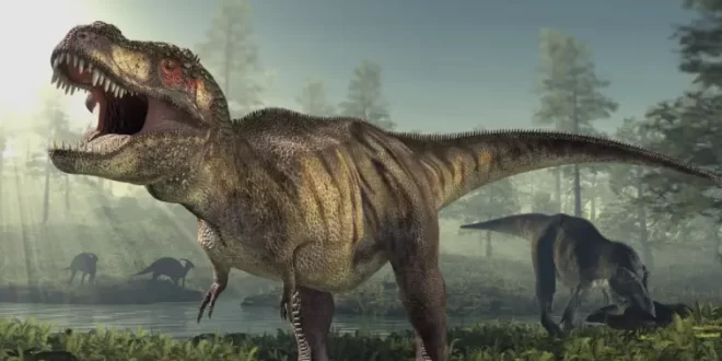 T. Rex Growth Rate